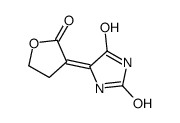 5-(2-oxooxolan-3-ylidene)imidazolidine-2,4-dione Structure