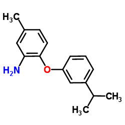 2-(3-Isopropylphenoxy)-5-methylaniline Structure