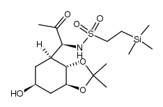 N-[1-(hexahydro-6-hydroxy-2,2-dimethyl-1,3-benzodioxol-4-yl)-2-oxopropyl]-2-(trimethylsilyl)ethanesulfonamide结构式