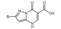 2-bromo-7-oxo-4,7-dihydropyrazolo[1,5-α]pyrimidine-6-carboxylic acid Structure