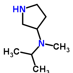 Isopropyl-Methyl-pyrrolidin-3-yl-amine结构式