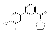 [3-(3-fluoro-4-hydroxyphenyl)phenyl]-pyrrolidin-1-ylmethanone结构式