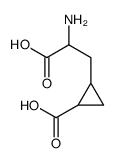 2-amino-4,5-methanoadipate picture