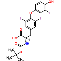 O-(4-Hydroxy-3-iodophenyl)-3,5-diiodo-N-{[(2-methyl-2-propanyl)oxy]carbonyl}-L-tyrosine Structure