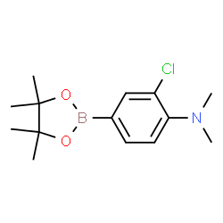 3-Chloro-4-(N,N-dimethylamino)phenylboronic acid pinacol ester picture