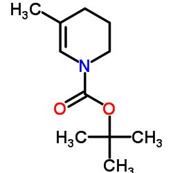 2-Methyl-2-propanyl 5-methyl-3,4-dihydro-1(2H)-pyridinecarboxylate Structure