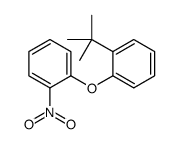 1-tert-butyl-2-(2-nitrophenoxy)benzene结构式