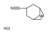 (1S,5R)-8-azabicyclo[3.2.1]octane-3-carbonitrile,hydrochloride structure