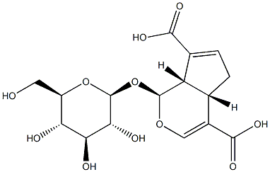 (1S)-1α-(β-D-Glucopyranosyloxy)-1,4aα,5,7aα-tetrahydrocyclopenta[c]pyran-4,7-dicarboxylic acid structure