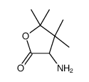 2(3H)-Furanone, 3-aminodihydro-4,4,5,5-tetramethyl- (9CI) structure