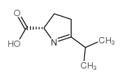 2H-Pyrrole-2-carboxylicacid,3,4-dihydro-5-(1-methylethyl)-,(S)-(9CI) picture