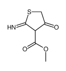 methyl 2-imino-4-oxothiolane-3-carboxylate Structure