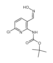 tert-butyl {6-chloro-3-[(hydroxyimino)methyl]pyridin-2-yl}carbamate Structure