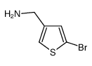 (5-bromothiophen-3-yl)methanamine picture