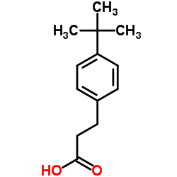 3-(4-tert-butylphenyl)propanoic acid picture