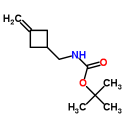 Carbamic acid, [(3-methylenecyclobutyl)methyl]-, 1,1-dimethylethyl ester (9CI) Structure