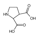 2,3-Pyrrolidinedicarboxylicacid,(2S,3R)-(9CI) Structure