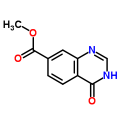 Methyl 4-oxo-1,4-dihydro-7-quinazolinecarboxylate picture