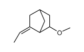 (3E)-3-ethylidene-5-methoxybicyclo[2.2.1]heptane Structure