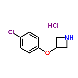 490021-97-1 structure