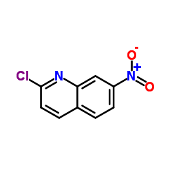 2-Chloro-7-nitroquinoline picture