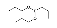 dipropoxy(propyl)borane Structure