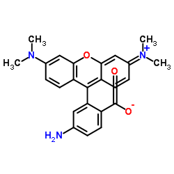 6-AMINOTETRAMETHYLRHODAMINE Structure