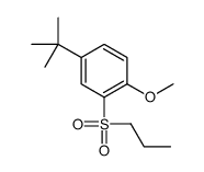 4-tert-butyl-1-methoxy-2-propylsulfonylbenzene Structure