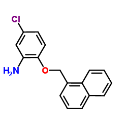 5-Chloro-2-(1-naphthylmethoxy)aniline结构式