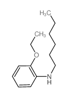 N-(2-Ethoxyphenyl)-N-hexylamine结构式