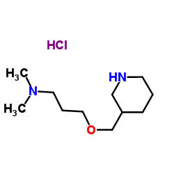 N,N-Dimethyl-3-(3-piperidinylmethoxy)-1-propanamine hydrochloride (1:1)结构式
