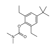 (4-tert-butyl-2,6-diethylphenyl) N,N-dimethylcarbamate结构式