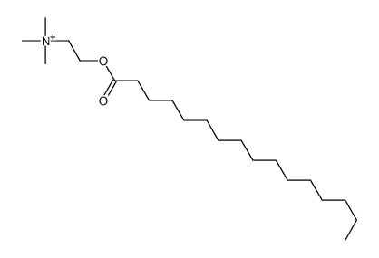 palmitoylcholine Structure