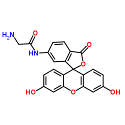 N-(3',6'-Dihydroxy-3-oxo-3H-spiro[2-benzofuran-1,9'-xanthen]-6-yl)glycinamide结构式