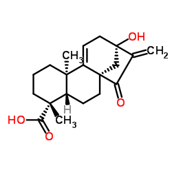 Pterisolic acid C Structure