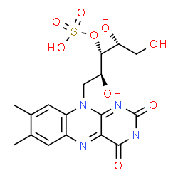 riboflavin 3'-sulfate picture