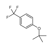 4-(tert-butoxy)benzotrifluoride Structure
