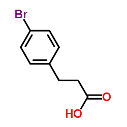 3-(4-Bromophenyl)propanoic acid picture