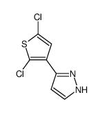 3-(2,5-dichloro-3-thienyl)-1H-pyrazole Structure