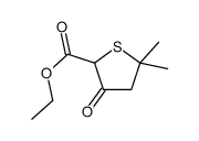 ethyl 5,5-dimethyl-3-oxothiolane-2-carboxylate结构式