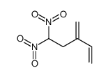 3-methylidene-5,5-dinitropent-1-ene Structure