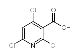 2,4,6-Trichloropyridine-3-carboxylic Acid structure