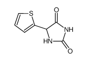 5-(2-thiophenyl)hydantoin Structure