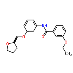 3-Ethoxy-N-[3-(tetrahydro-2-furanylmethoxy)phenyl]benzamide Structure