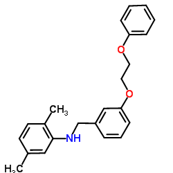 2,5-Dimethyl-N-[3-(2-phenoxyethoxy)benzyl]aniline结构式