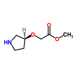 Methyl [(3S)-3-pyrrolidinyloxy]acetate结构式