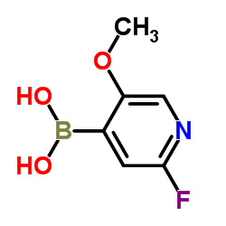 2-Fluoro-5-methoxypyridine-4-boronic acid结构式