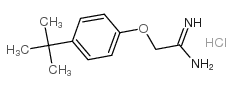 2-(4-(TERT-BUTYL)PHENOXY)ACETIMIDAMIDE HYDROCHLORIDE Structure