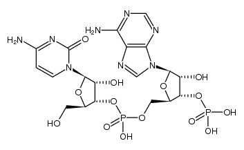 5'-CAp-3' Structure