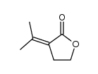 α-(1-methylethylidene)-γ-butyrolactone结构式